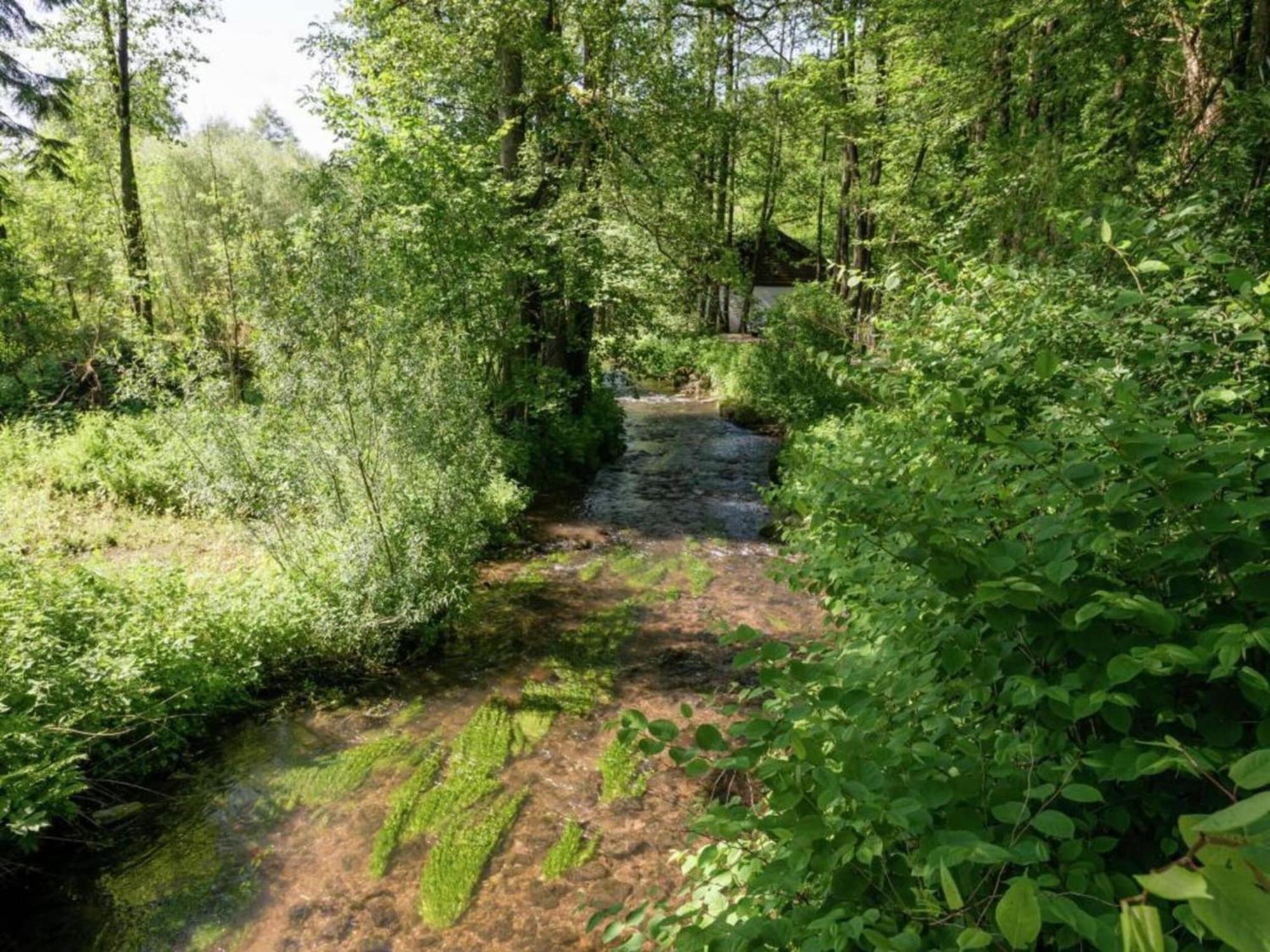 1St Floor Apartment Near Willingen Willingen  Buitenkant foto